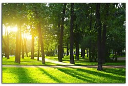 Obraz na stenu ZS - bez pomeru strán